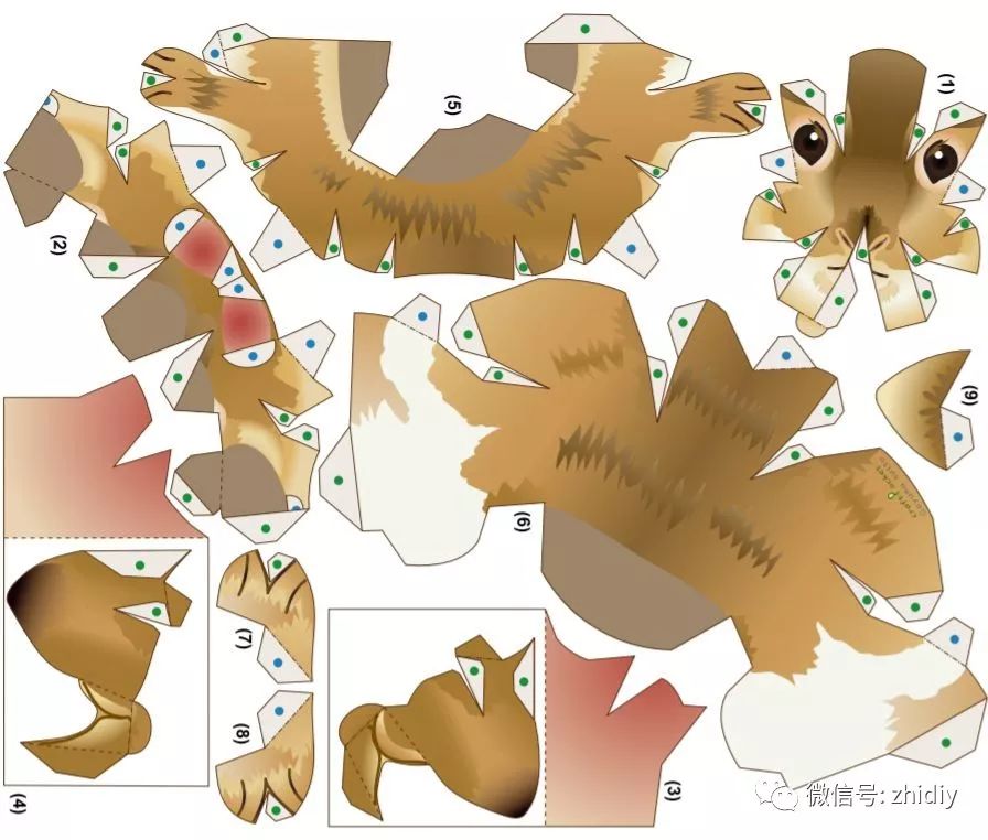 5种纸模模板0误差100清晰小动物狮身人面像等你来pick