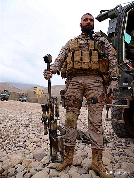 由于墨西哥缺乏射程在1500米以上的远程有效火力支援,墨西哥陆军共有