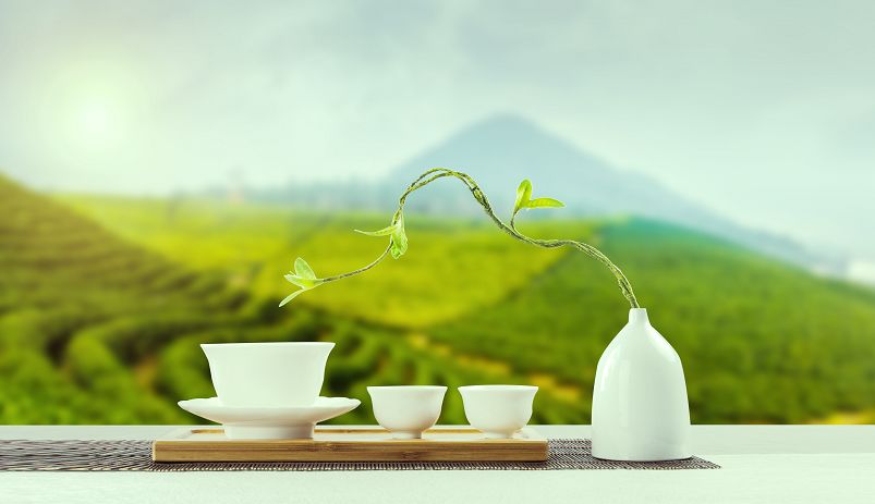 人到中年更爱喝茶中年人喝茶的好处多