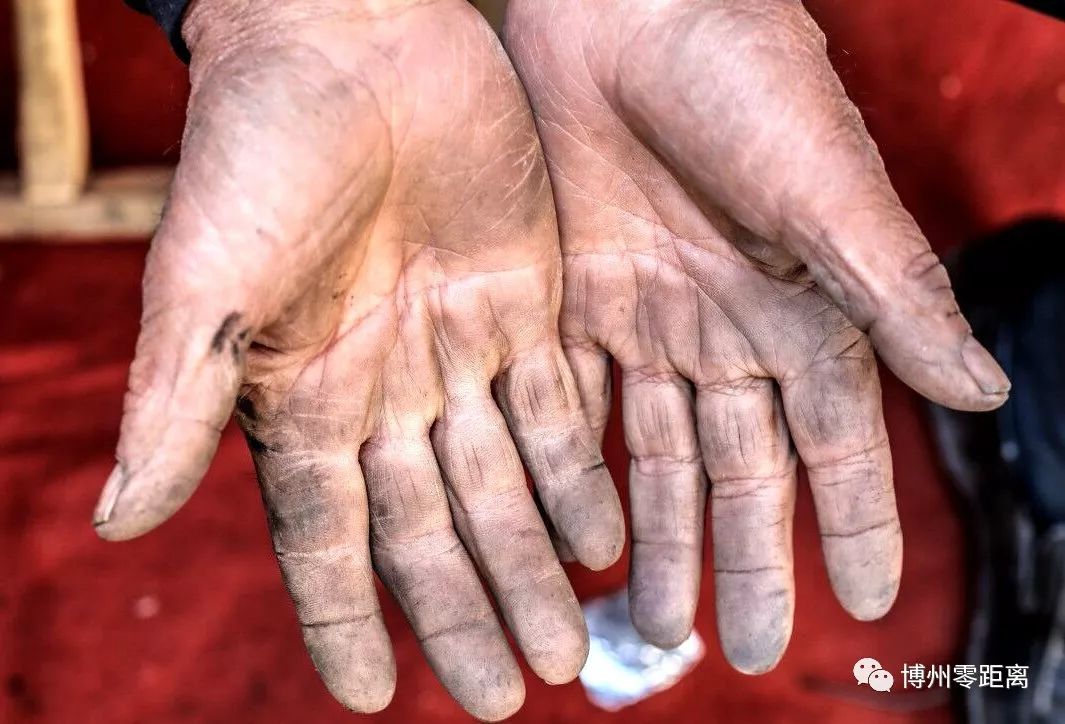 致敬劳动者博州这些人的双手让人感动