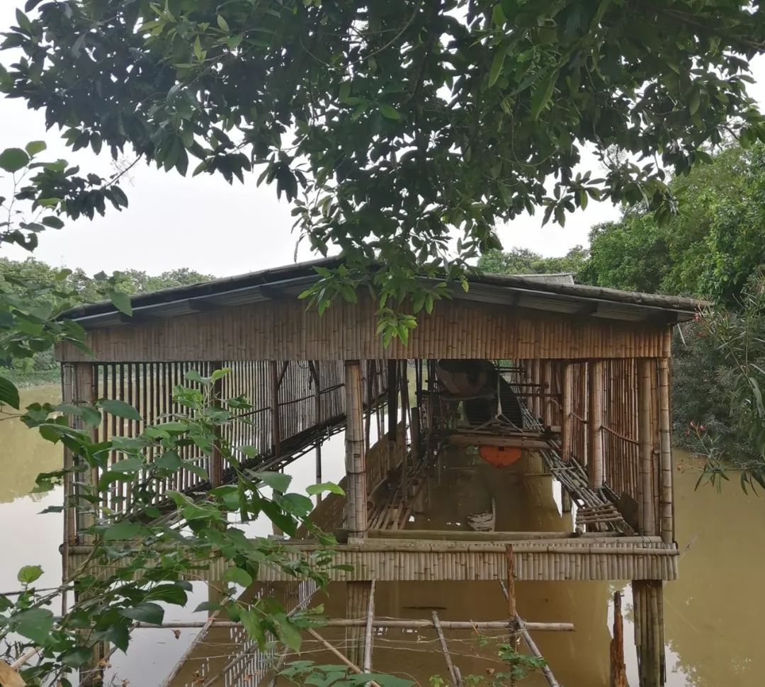 麻涌"龙船景"将至,巧匠为龙舟换"新衣"