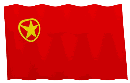 "北碚区优秀共青团干部""北碚区五四红旗团委(团支部)"拟通报对象公示