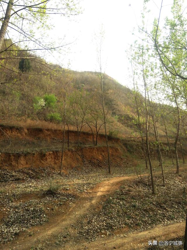 洛阳市洛宁县:东宋马村马陵道