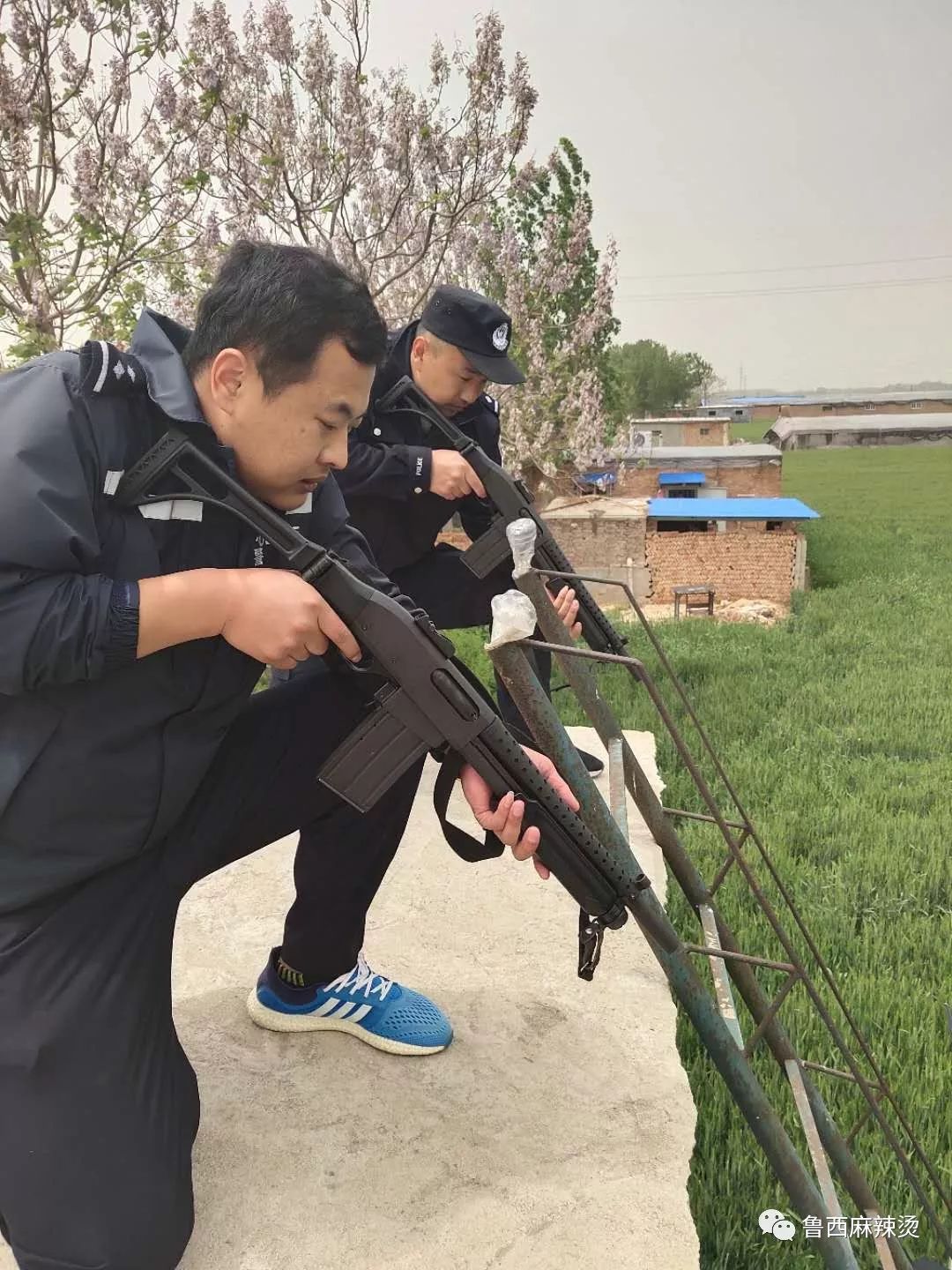 莘县一村民家中大狗发疯伤人民警开枪击毙