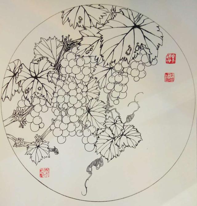 钢笔花卉白描达人叶志军先生的钢笔画分享