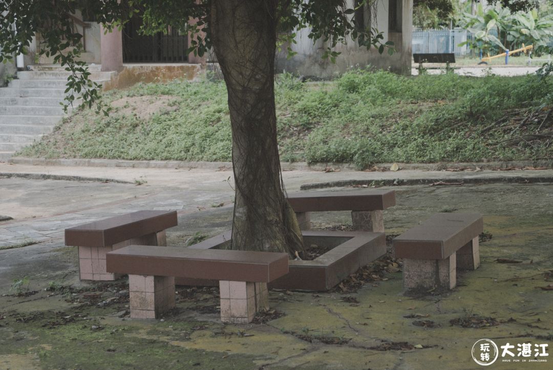 湛江八十年代的儿童公园,再也回不去
