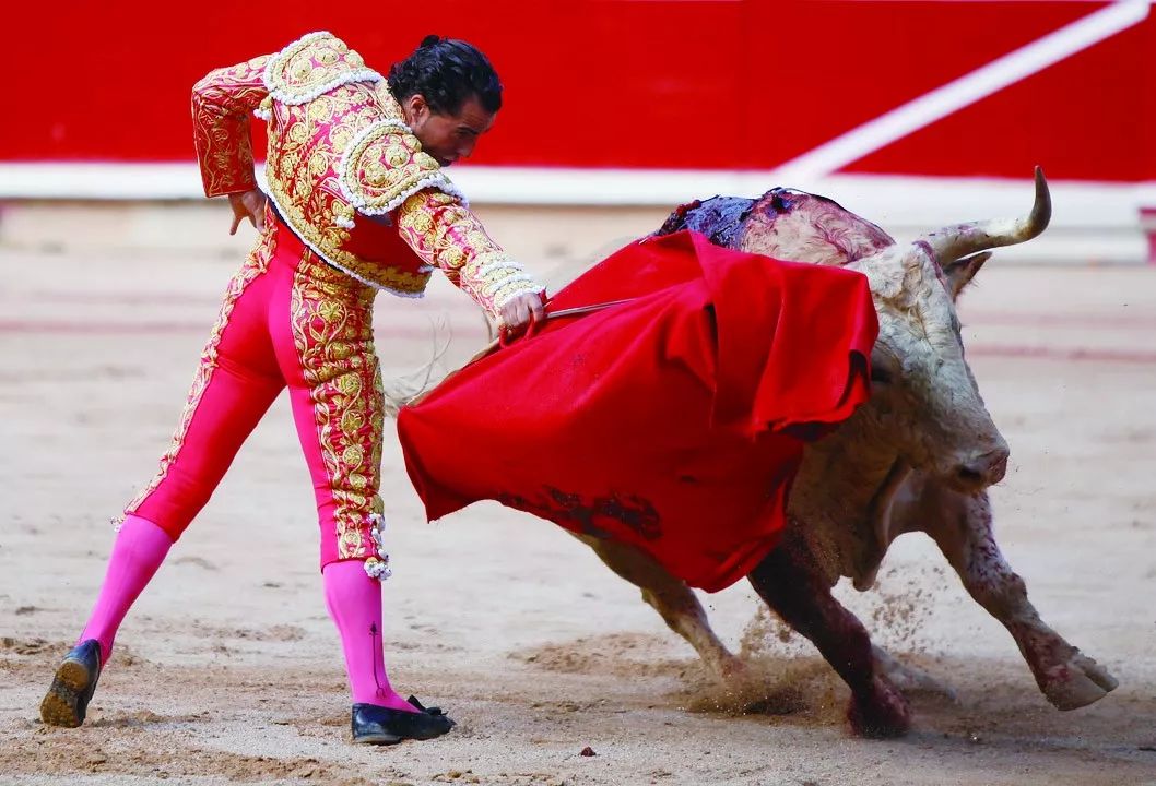 斗牛士为何要用红布挑逗色盲的牛