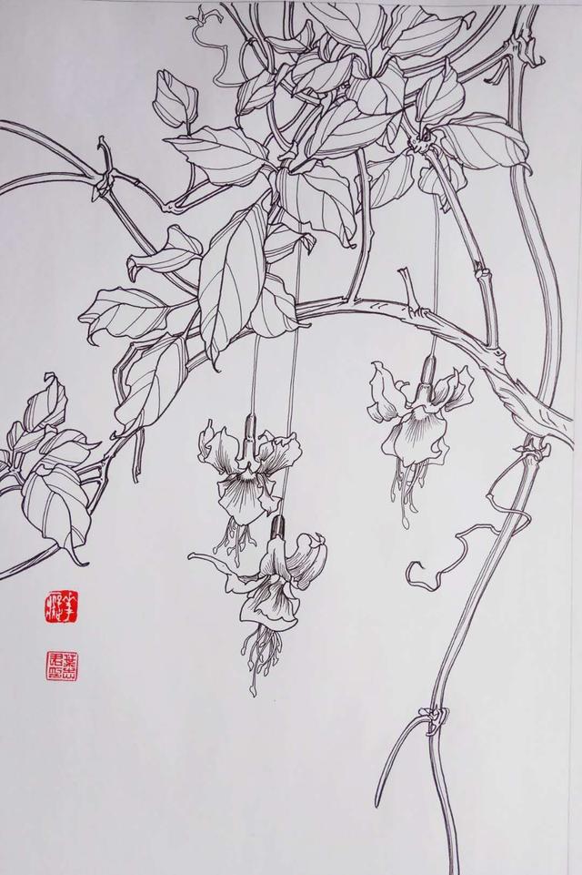 钢笔花卉白描达人叶志军先生的钢笔画分享
