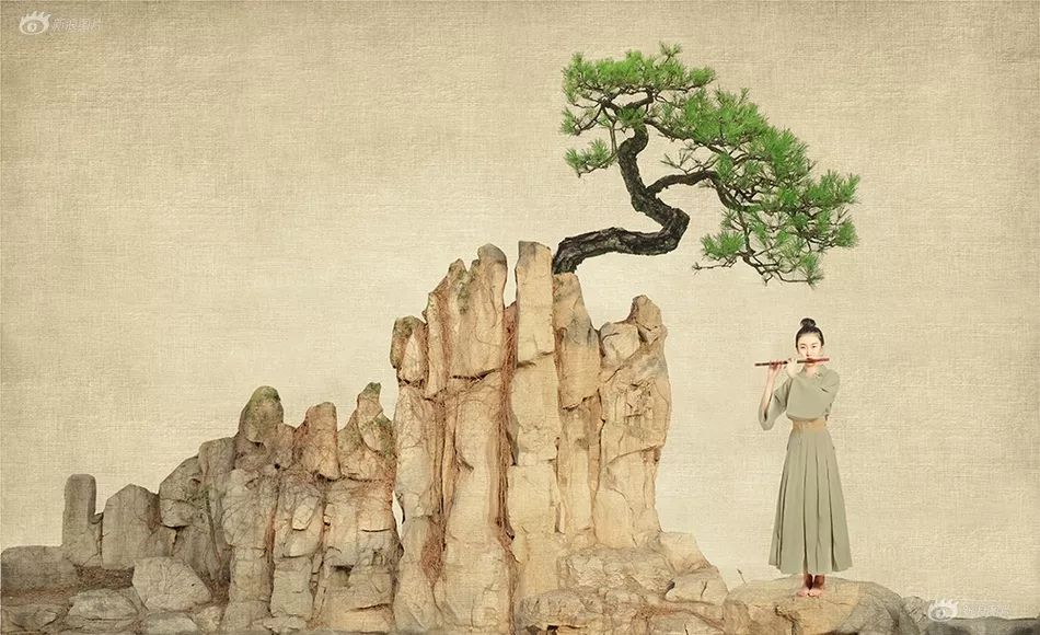 飞哥谈影中国风画意摄影是条出路吗