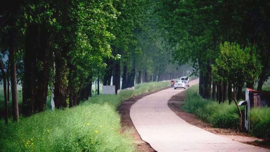 五一假期你回丰县老家劳动吗有图有真相