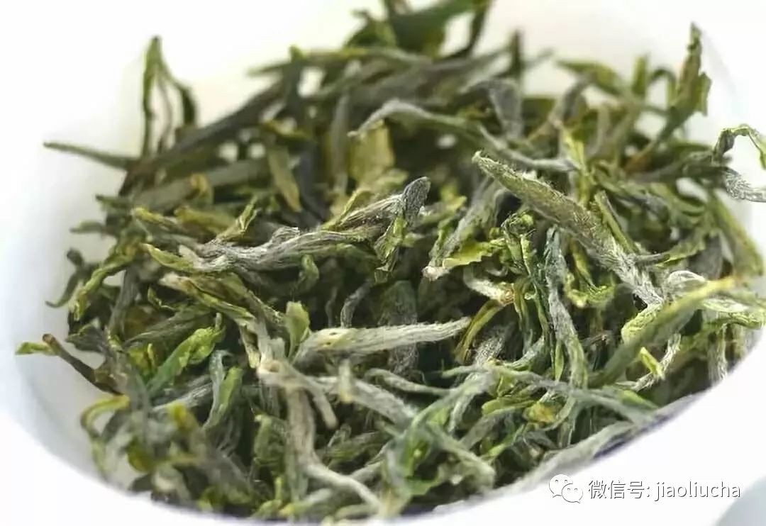 庐山云雾茶外形图片