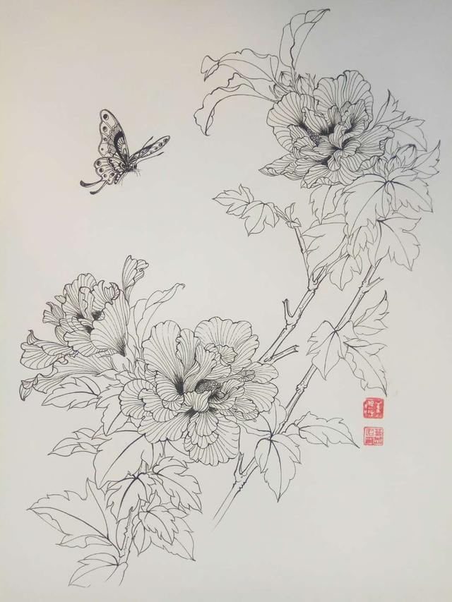 钢笔花卉白描达人叶志军先生的钢笔画分享