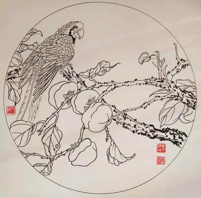 鋼筆花卉白描達人葉志軍先生的鋼筆畫分享