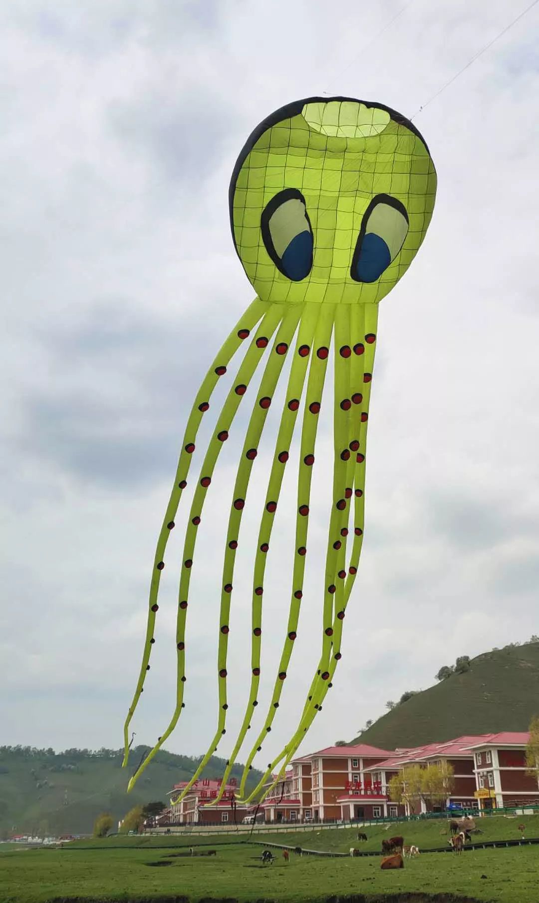 关山草原第三届国际风筝艺术节正在景区如火如荼地举行,直径四米左右