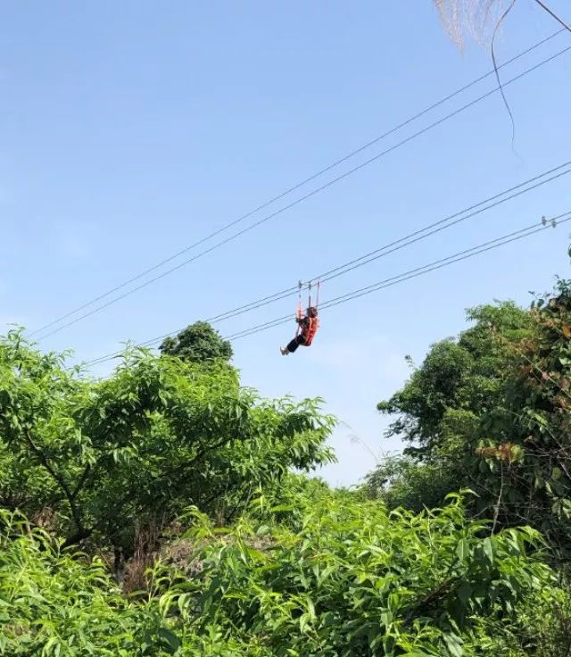 還去什麼重慶?樂山也有網紅懸崖鞦韆,玻璃蕩橋啦!