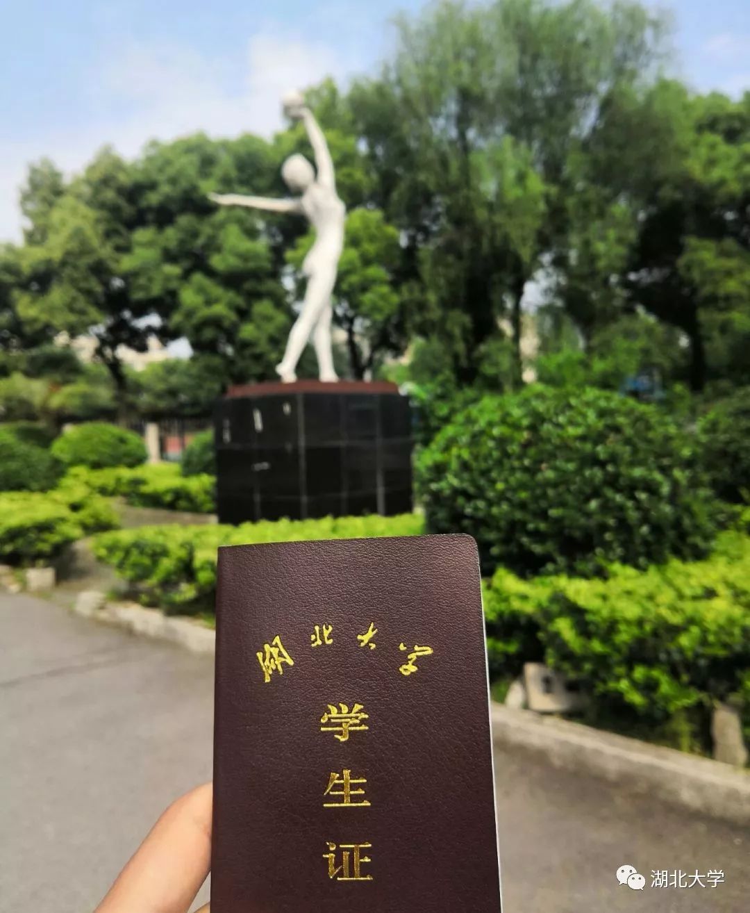 这个小长假,看湖大人都去了哪儿?
