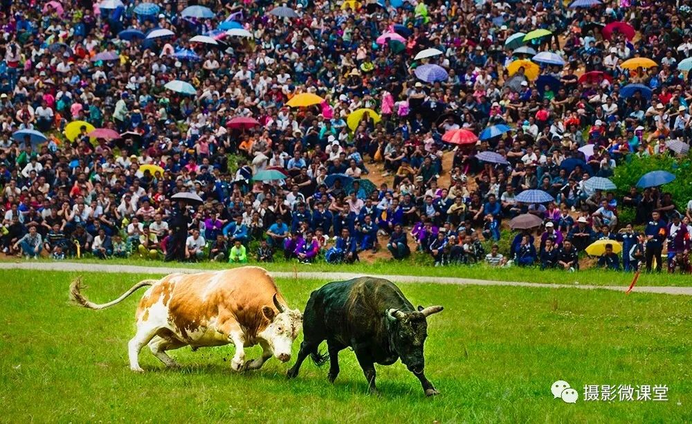 布拖5月14日火灾图片