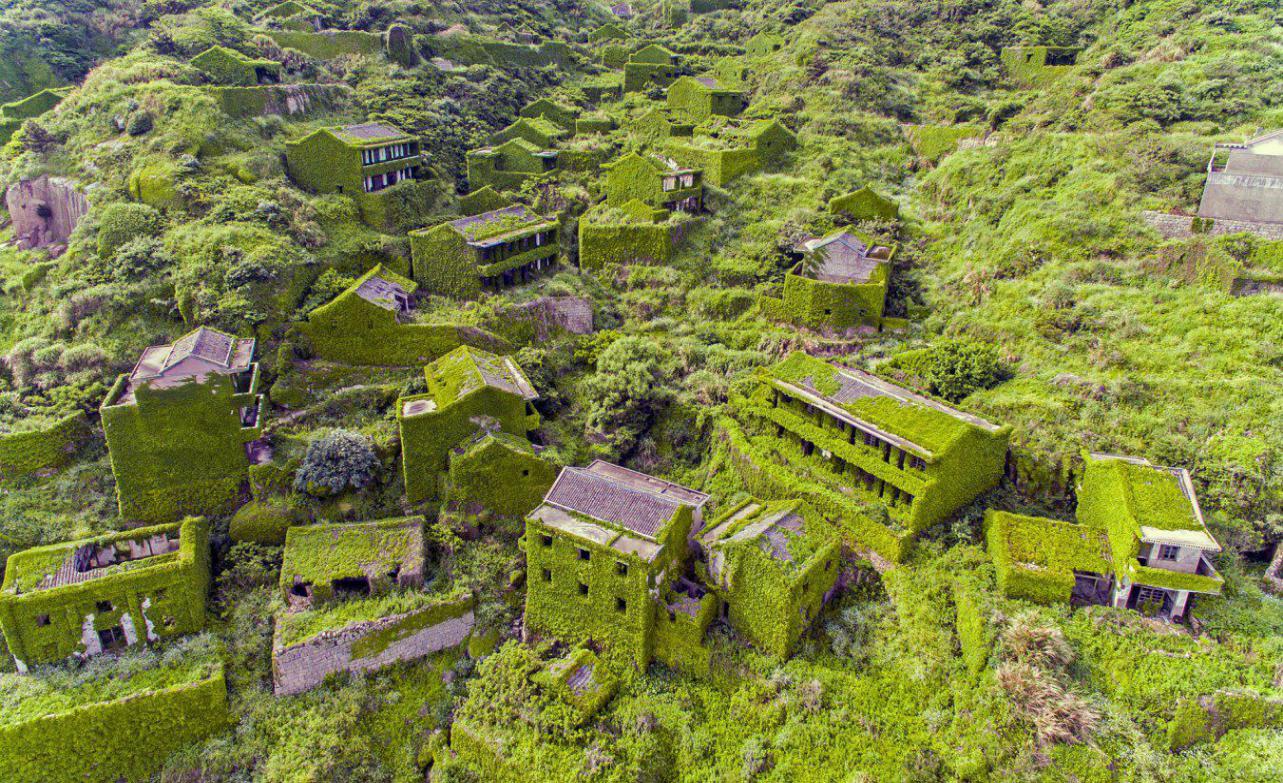 浙江境内的"鬼村",荒无人烟被植物吞没,现在竟成为难得的奇景