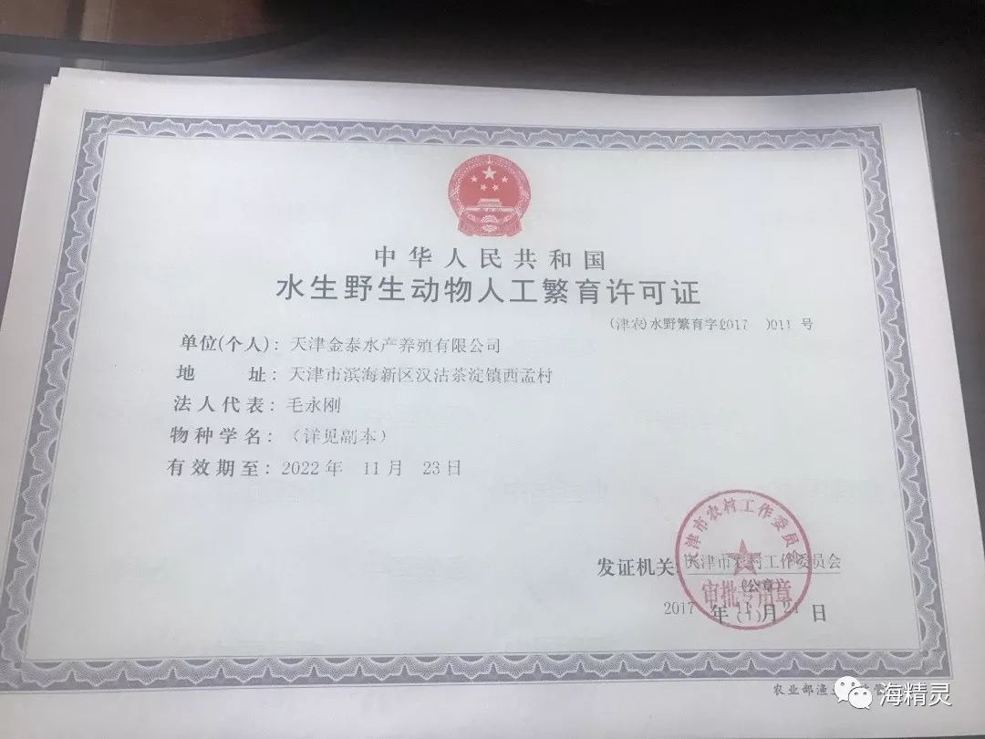 水生野生动物人工繁育许可证水生野生动物经营利用许可证首先需要去