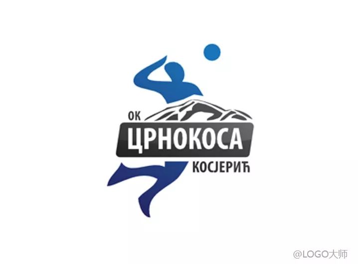 排球主题logo设计合集鉴赏