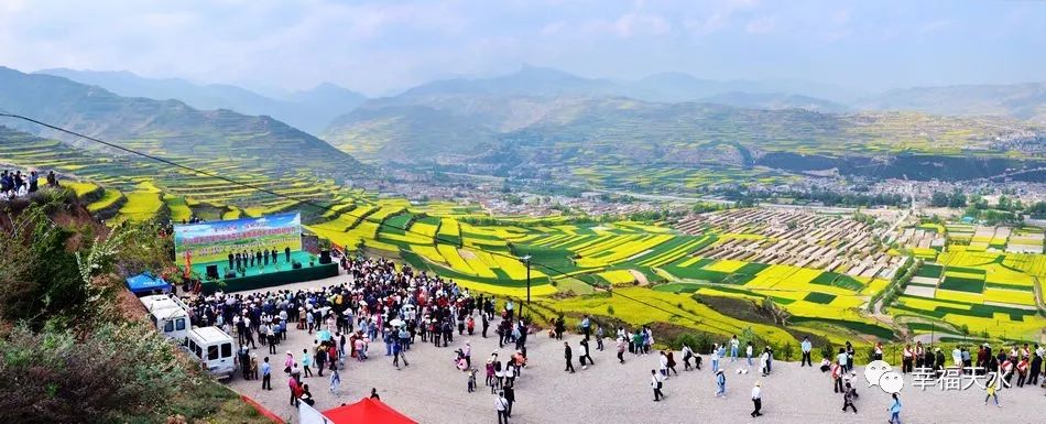 头条 武山万亩油菜花海醉游人(图)