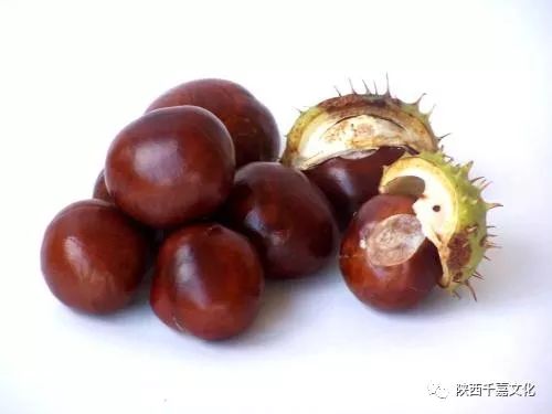 【眉县作家专栏】国道花绽香满城