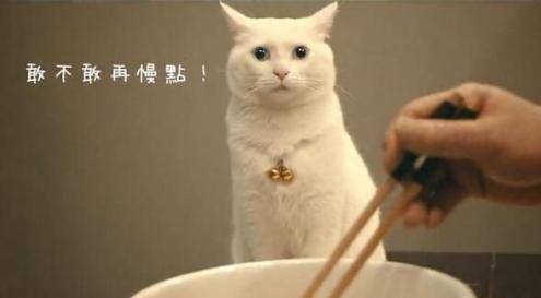 日食记姜老刀和同样味道的菜相遇一生只有一次