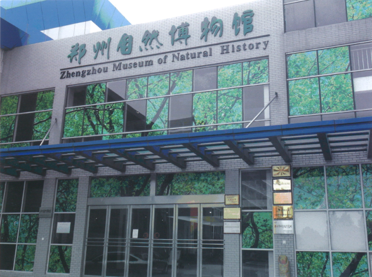 你知道郑州自然博物馆在哪里吗?