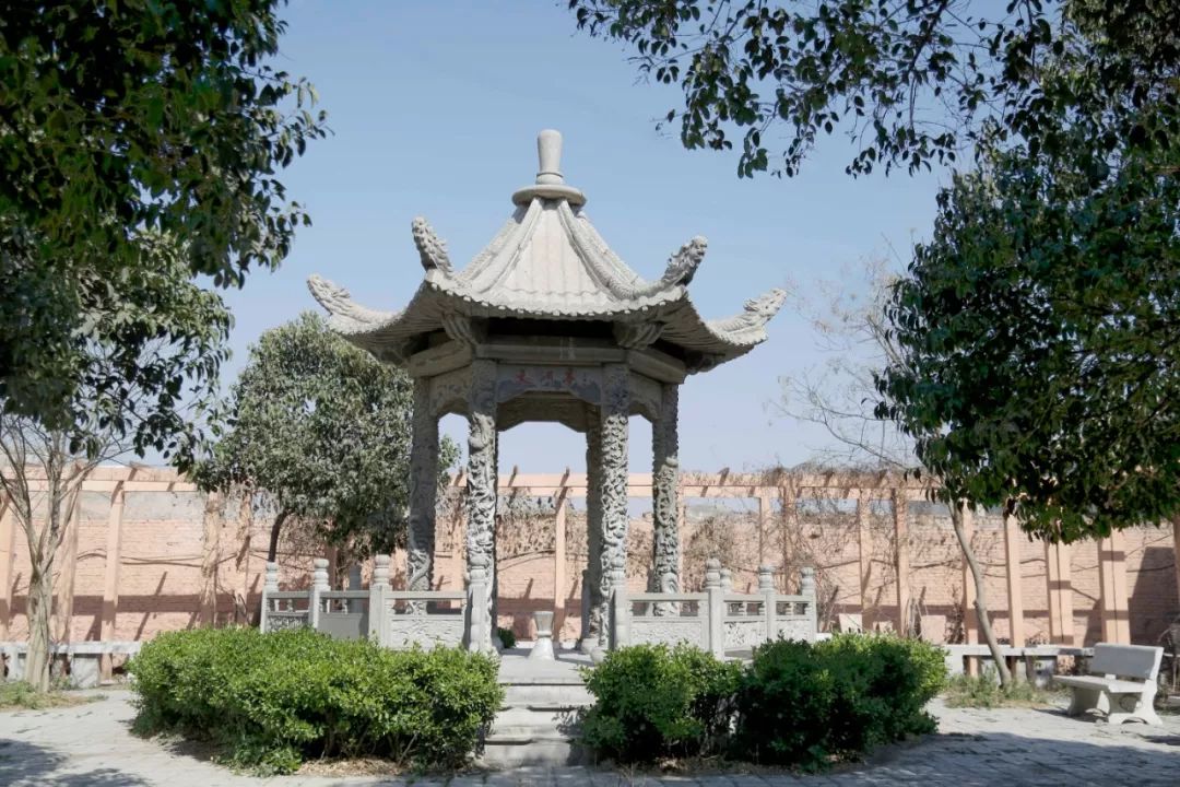 菏泽学院郓城分校开始招生啦应届初中毕业生可直升专本科