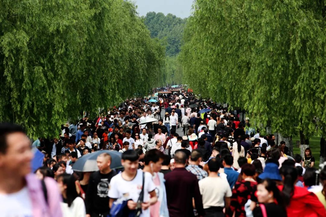 这个五一假期,易门的你在哪里过?_景区