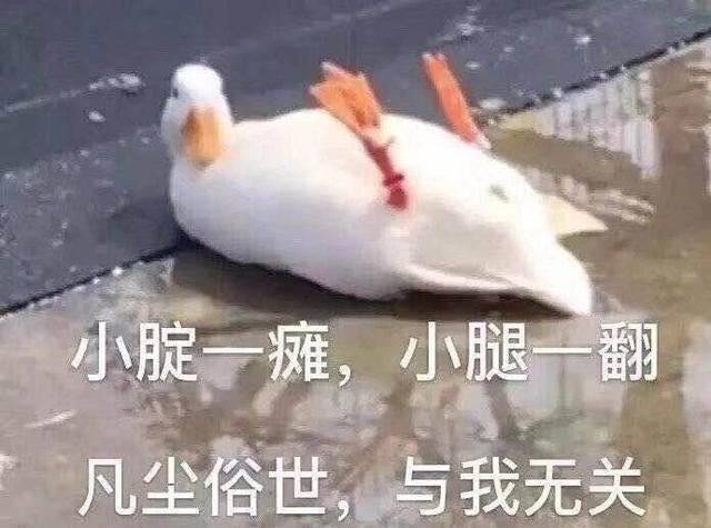 再見了媽媽,今晚我就要遠航,別為我擔心,我有專車接送,醫療廢物轉運車