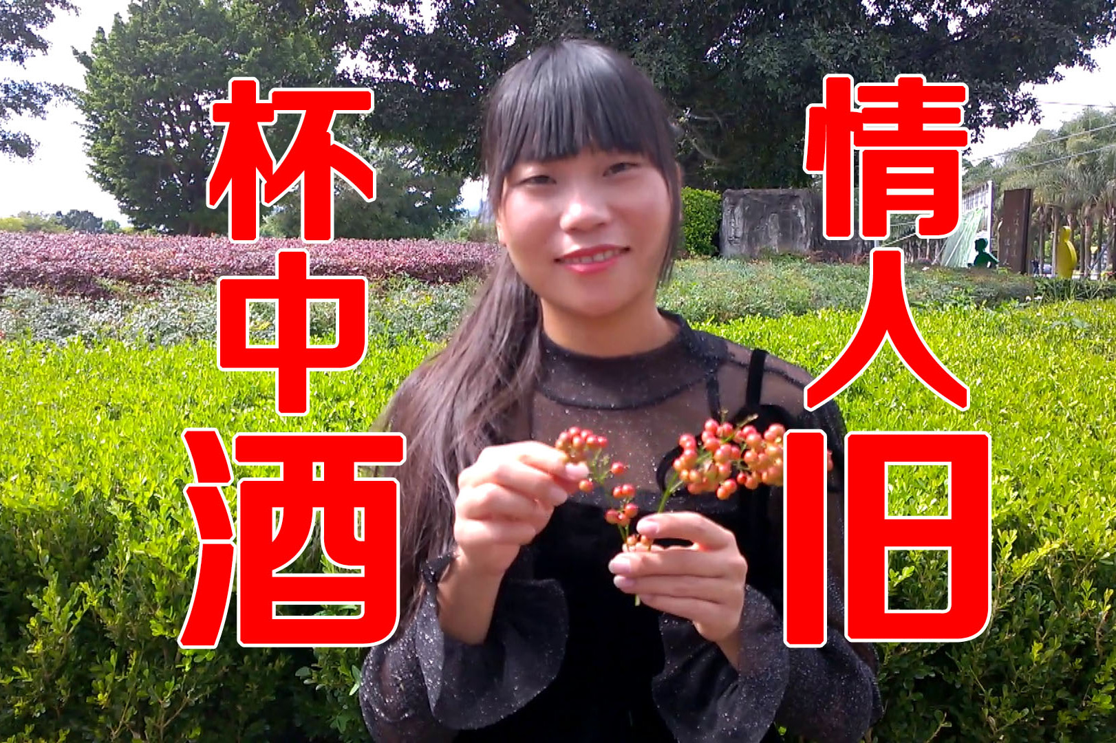 一曲《杯中酒情人旧》醉了寂寞醉不了离愁!