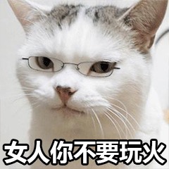 搞怪小猫表情包