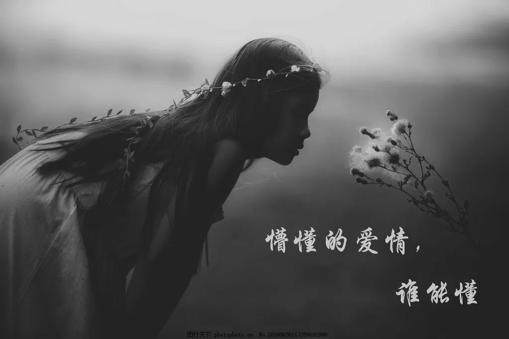 2019简短戳心的心情语录,总有一句适合你发朋友圈