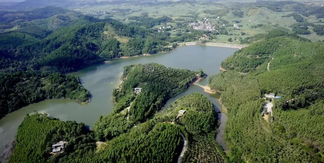 派阳山林场图片