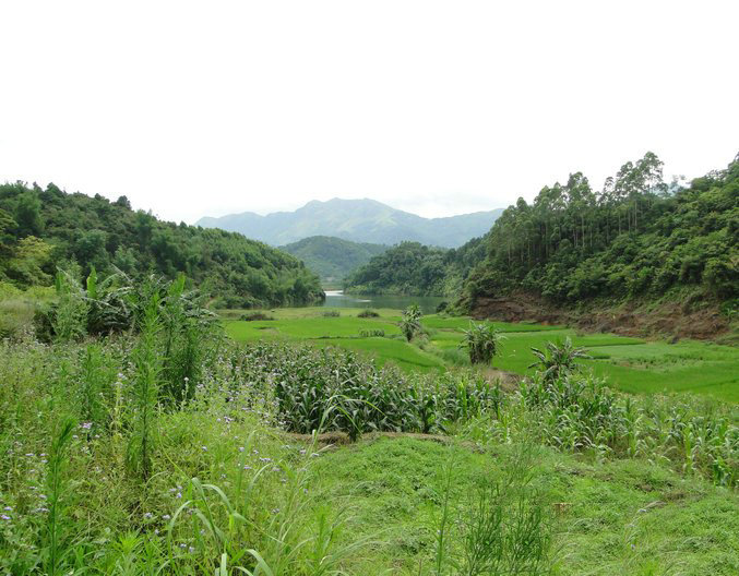 如何甄別墳墓風水寶地,實戰派風水大師王君植尋龍風水案例叫你眼前一