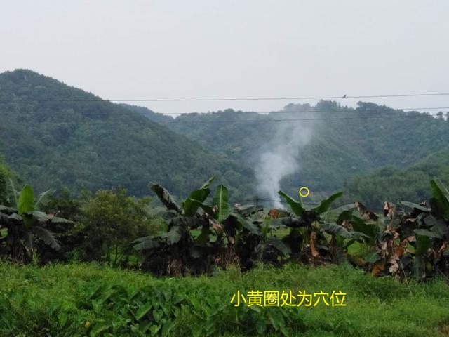 龜蛇守水口必是富貴地風水寶地用後三年發富發貴之地案例分享