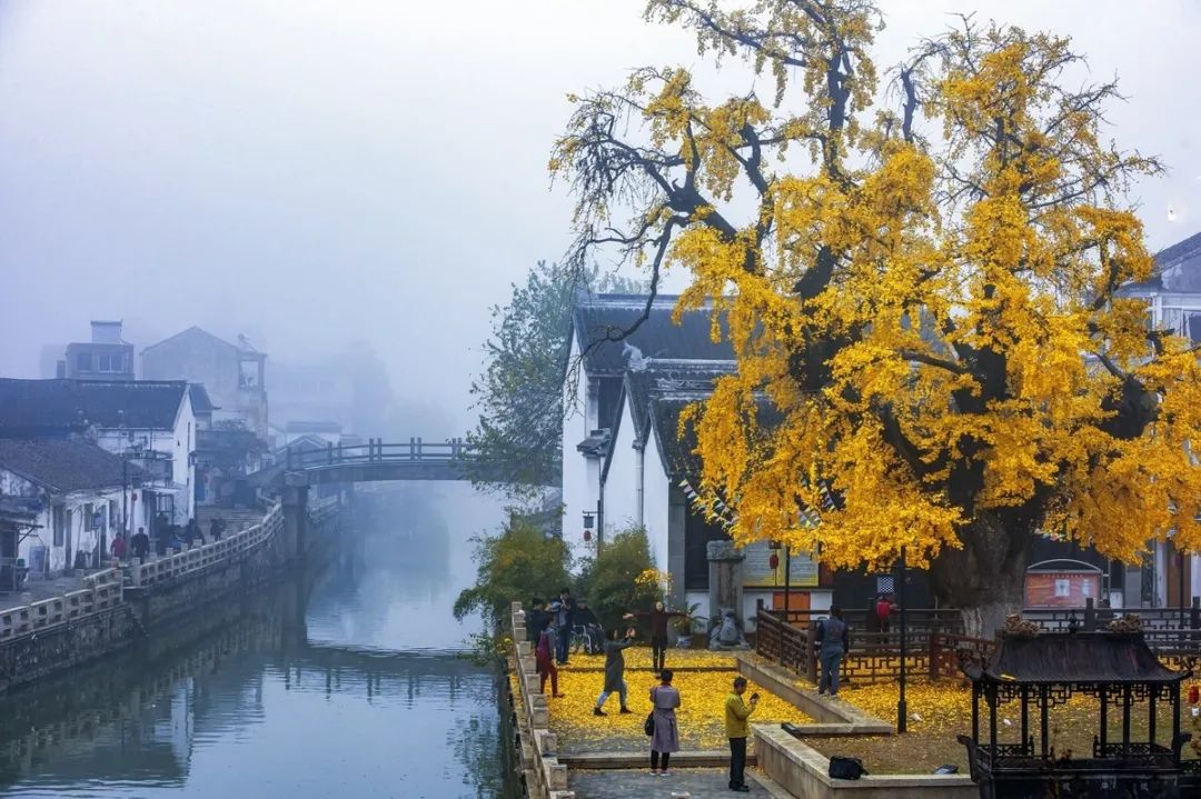 就在明天!一年一度的周铁古镇文化旅游节又要来了
