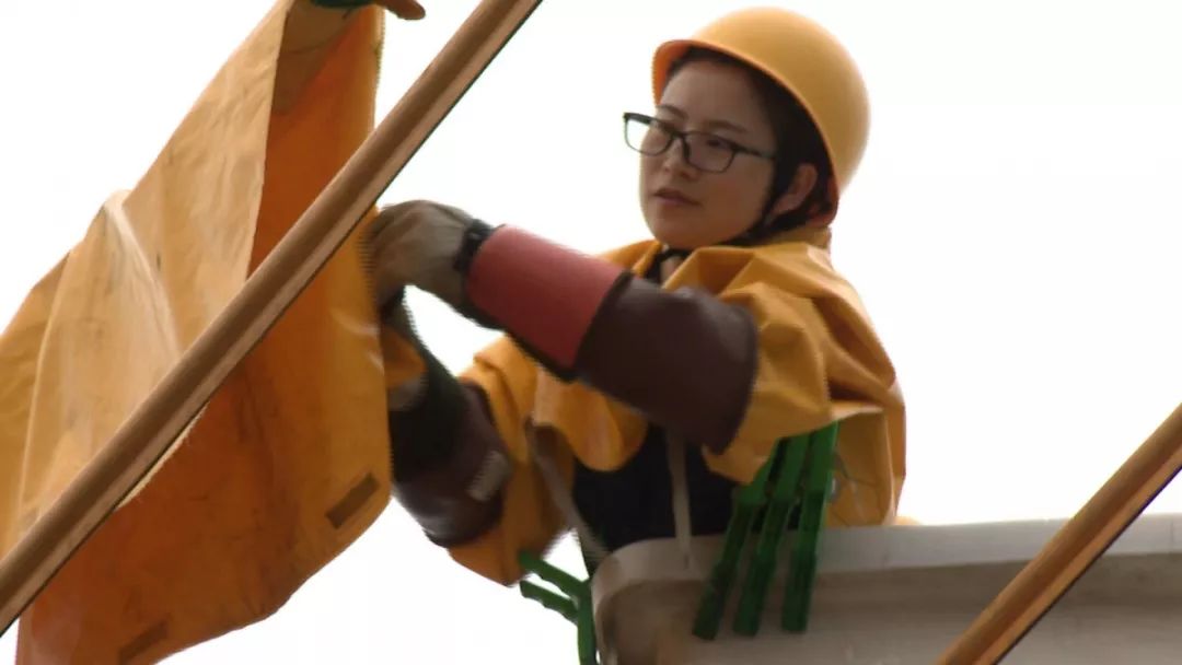 网浙江杭州市临安区供电有限公司的一名女职工,取得了带电作业资格证