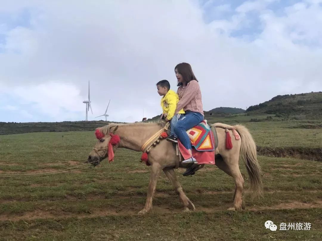 【盘州旅游】乌蒙大草原五一嗨翻天