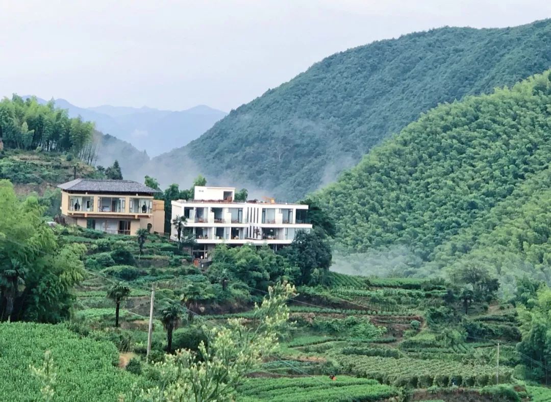 听风听雨,看山看云,烟雨三月的遂昌民宿,恰似水墨画卷铺张开