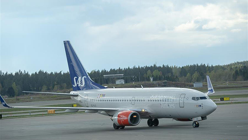 世界卫生组织称利比亚近期战事已造成392人死亡