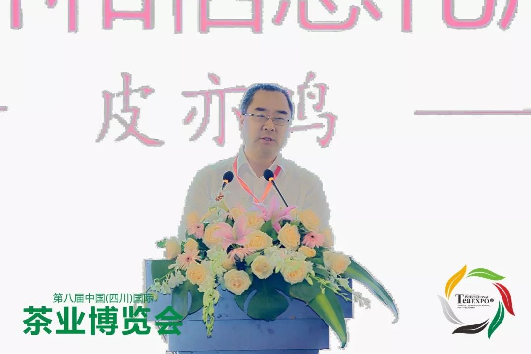 省经济和信息化厅副厅长皮亦鸣致辞