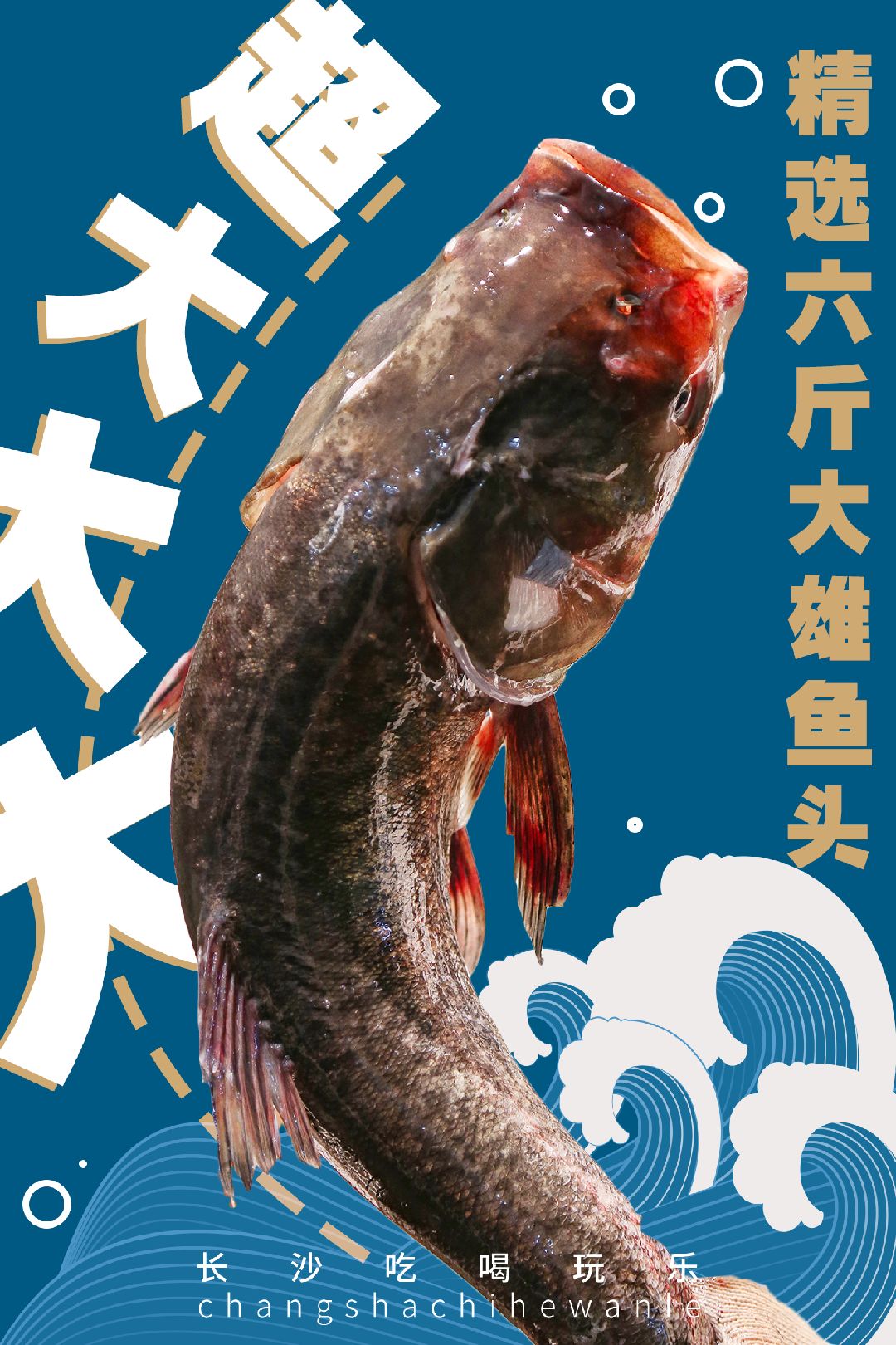 坐轿子走进联合国的长沙大鱼头火了