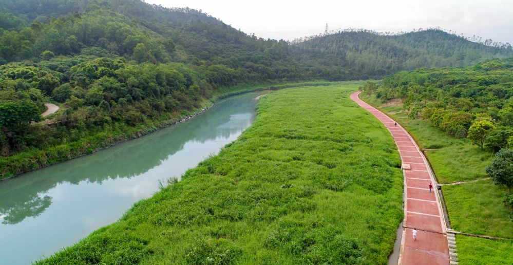 摄影杨俊威就在龙岗河坪地段你知道在那里吗?