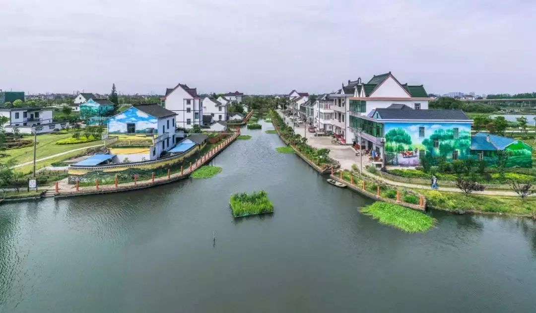 随着村庄颜值的提升,林埭镇祥中村都家浜,徐家埭村俞家浜等最近都成了