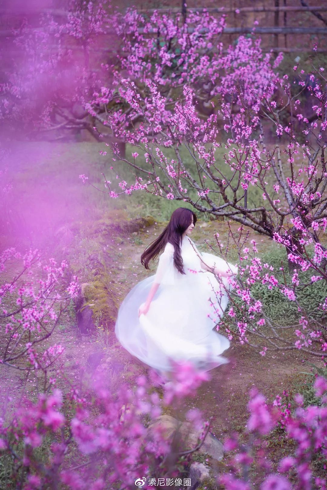 人面桃花相映红索尼fe135mmf18gm镜头下的桃花人像
