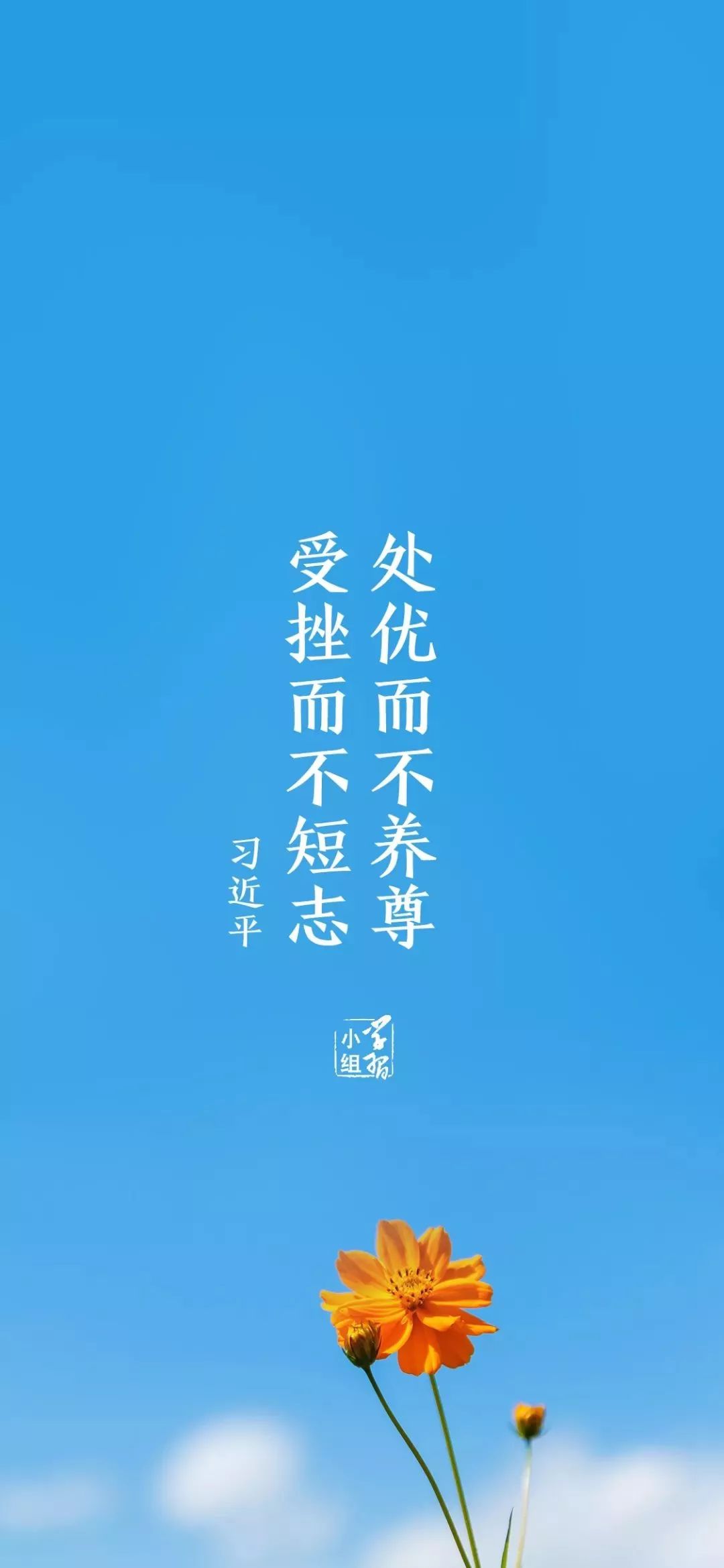 总是从挫折中不断奋起,永不气馁9,奋斗是青春最亮丽的底色10,立鸿鹄志