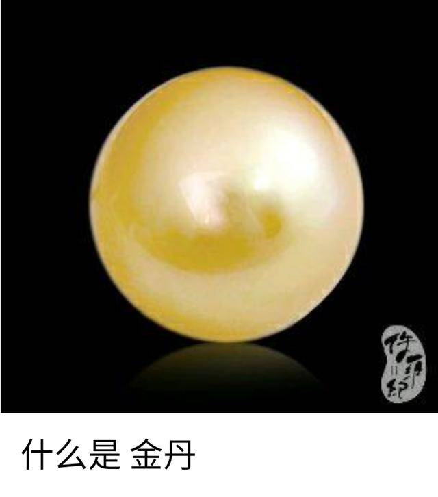 向他们学到的道术加以整理后,归纳为以金丹为中心的自成体系的理论