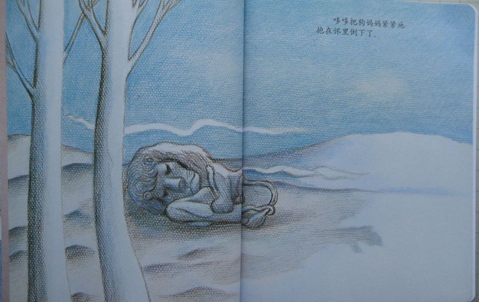 【中文有声绘本】《温情的狮子》